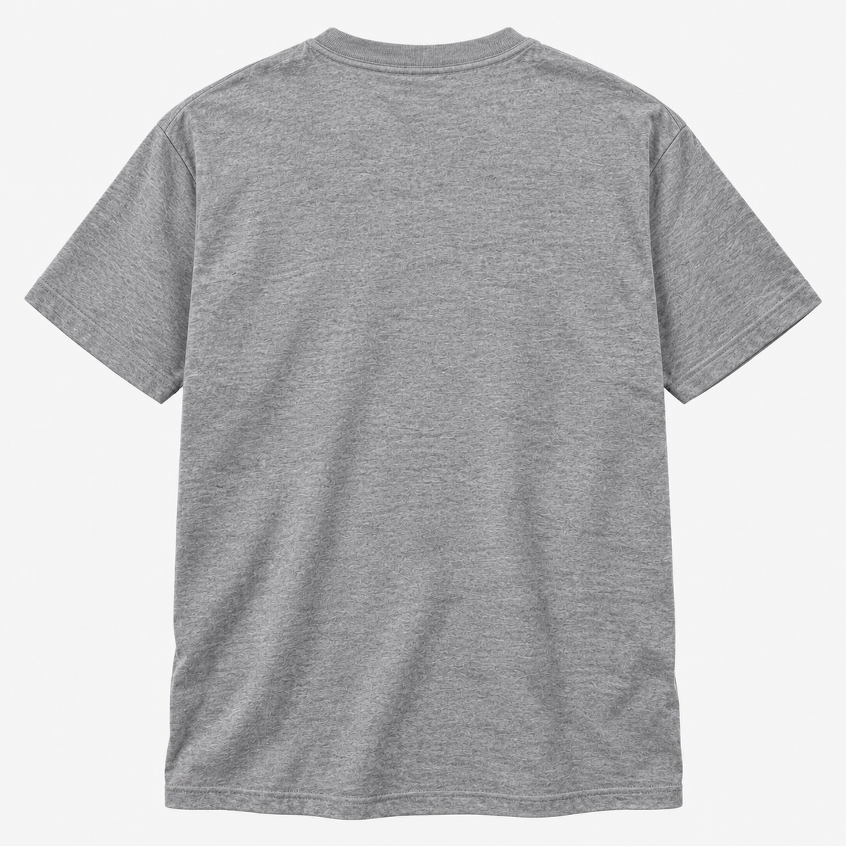 Gildan 5000 T-Shirt, Heather Grey — Back