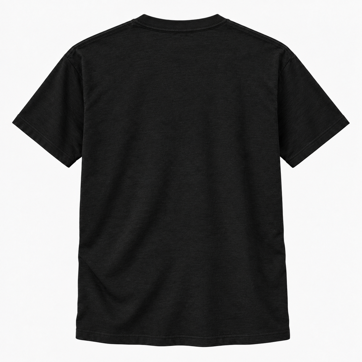 Bella + Canvas 3413 Shirt, Black — Back
